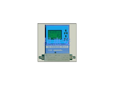 DSN-D600CD气体质量流量控制器