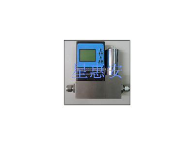 DSN-D600C热式气体质流量控制器