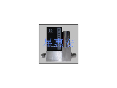 DSN-D300C气体质量流量控制器